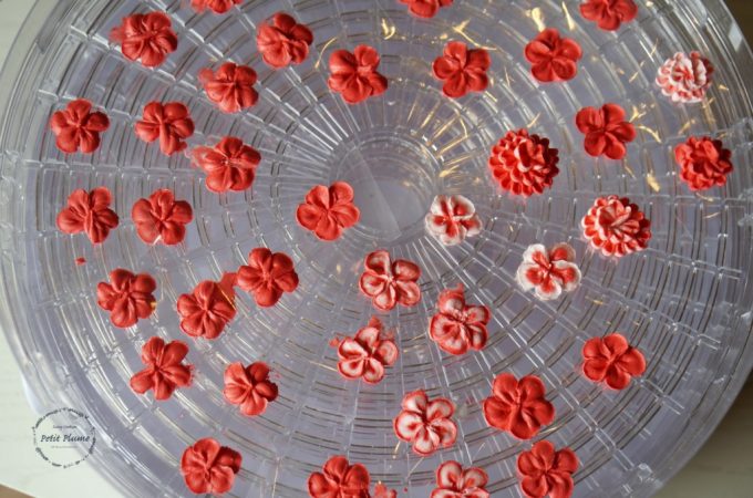 f:id:petitplume:20160331233736j:plain